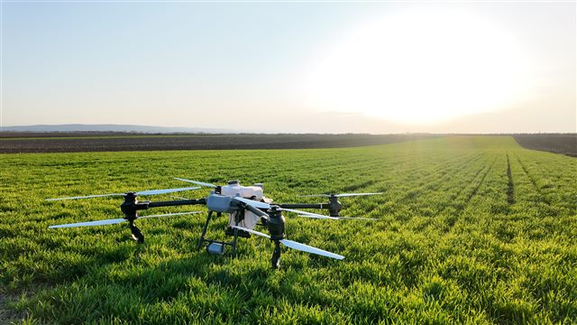 Poljoprivredni dron iznad zelenog ratarskog useva
