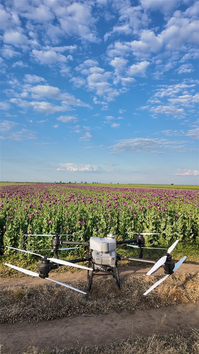 Dron pored useva u cvetanju